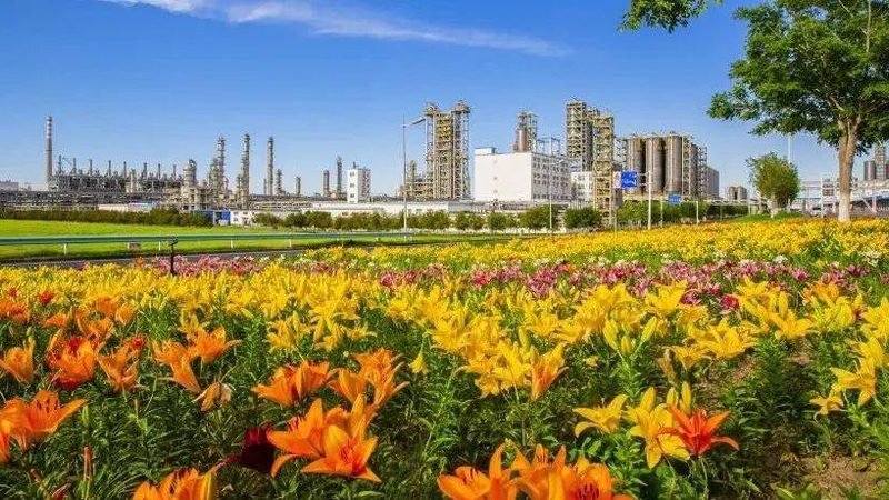 上海工业胶粘剂批发价格背后的行业考量**
