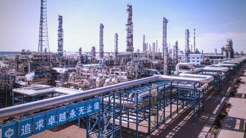 可降解材料：规格型号背后的技术解析**